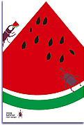 7���̃J�[�h�u�J�u�g���V�X�C�J�v